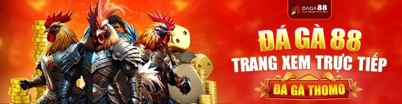 Đá gà trực tuyến kịch tính trên ứng dụng 67win