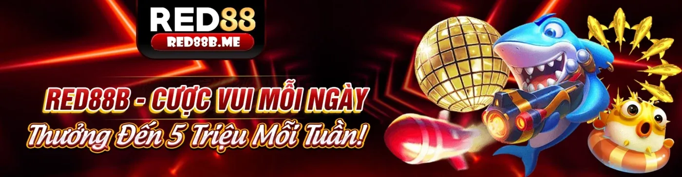 Tin tức 67win App Mới Nhất