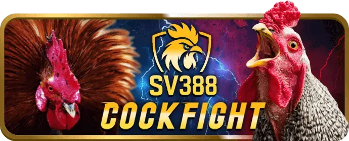 Hệ thống bảo mật an toàn 67win app
